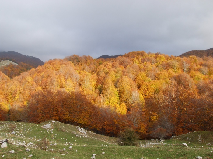 Autunno